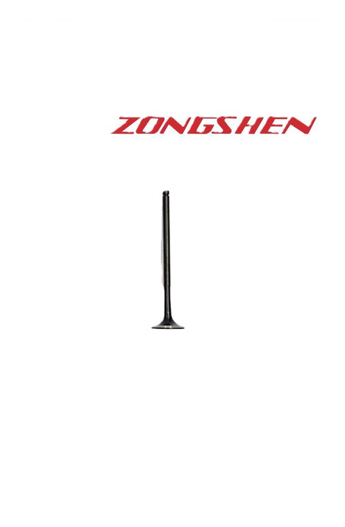 Впускной клапан двигателя ZS170MM-2 оригинал Zongshen